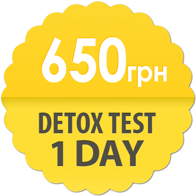 Detox Test на 1 день